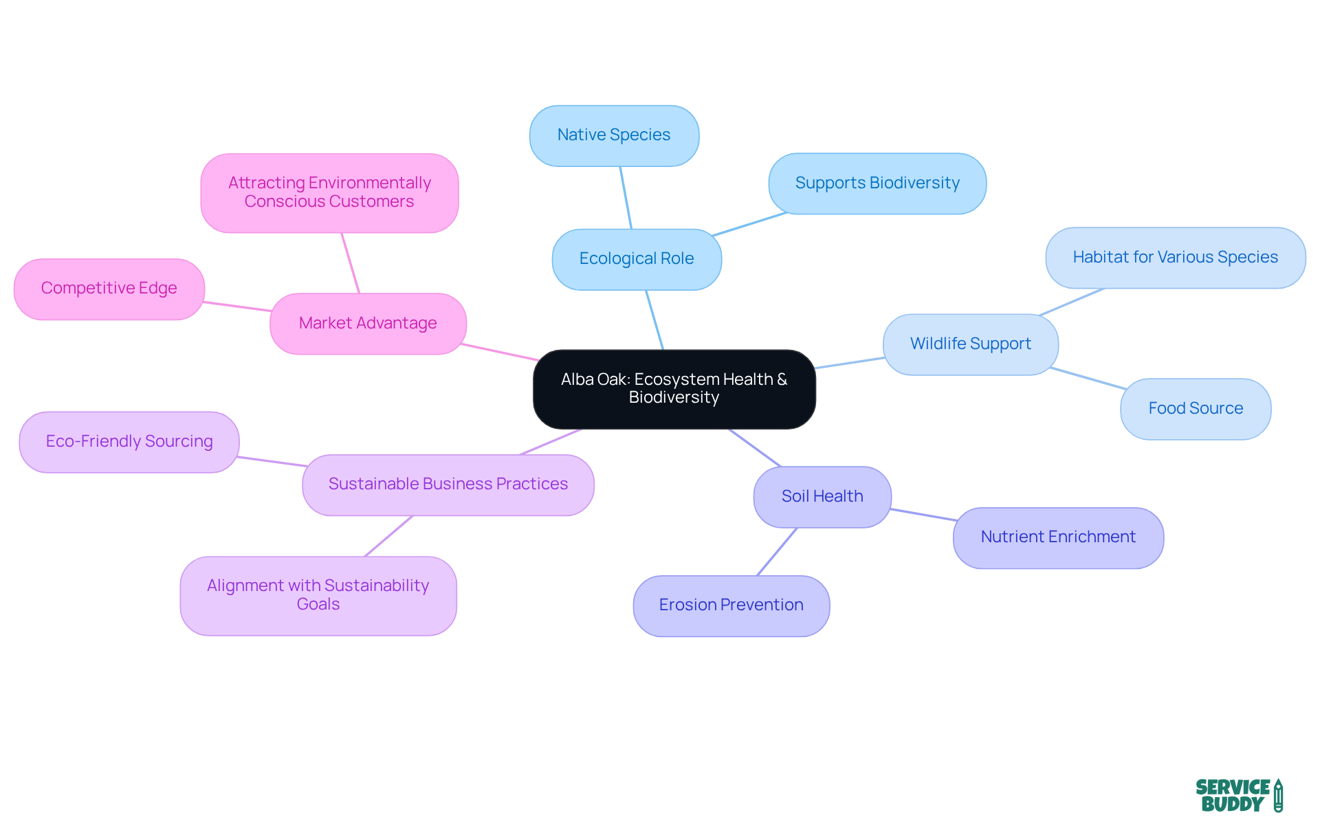 The center represents the alba oak, while the branches illustrate its diverse contributions to the environment and business — follow the branches to see how they interconnect and support sustainability. The center represents the alba oak, while the branches illustrate its diverse contributions to the environment and business — follow the branches to see how they interconnect and support sustainability.