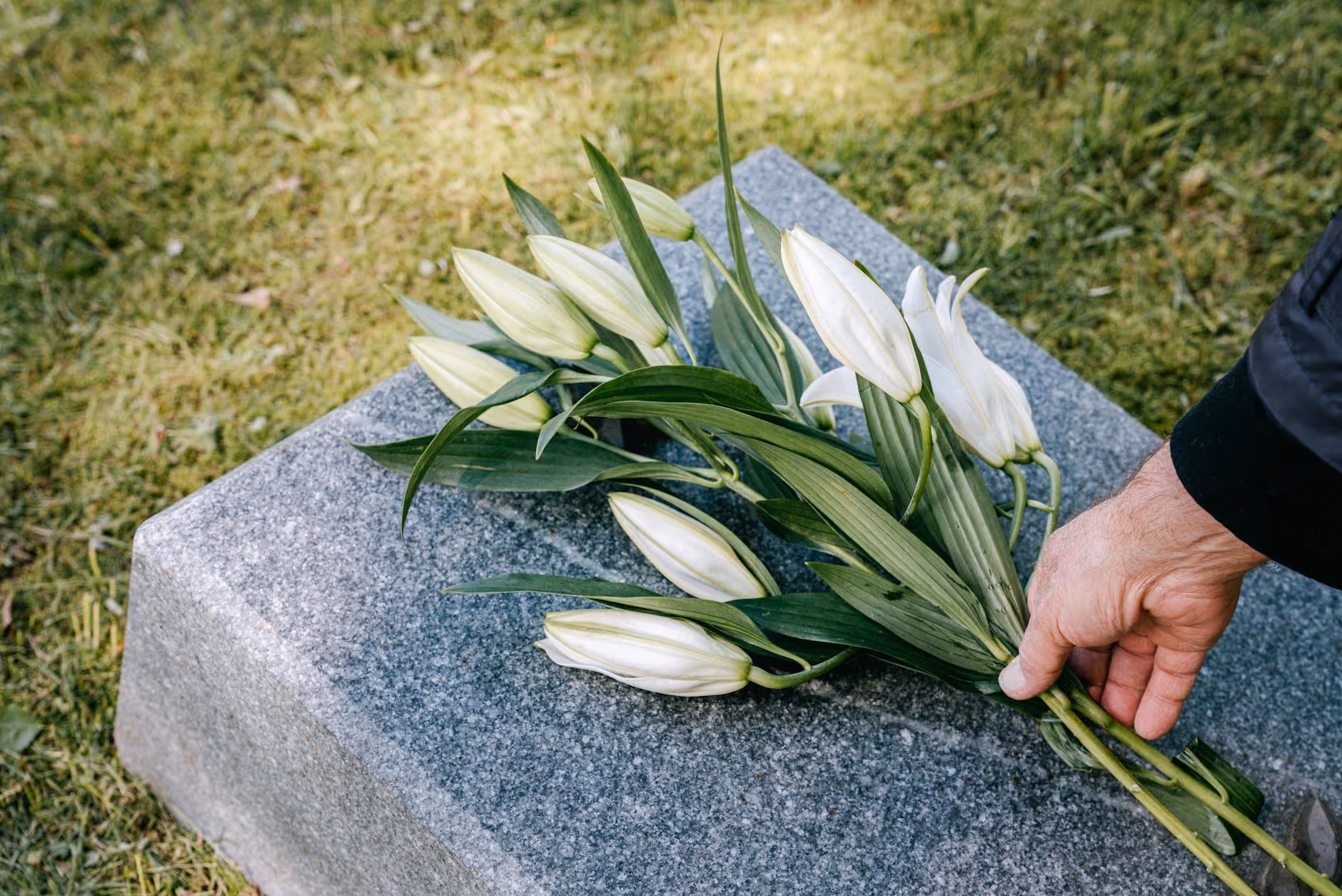 Hand placing a bouquet of white lilies on a gray granite gravestone with grass in the background.