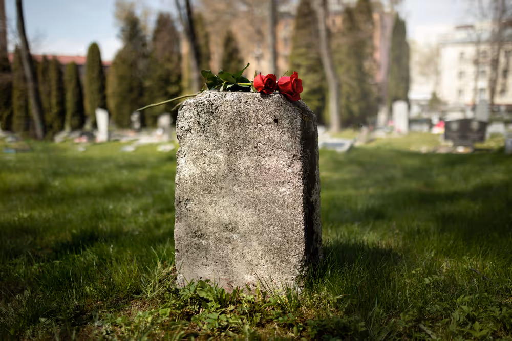Weathered gray tombstone with two red roses placed on top in a sunlit cemetery.