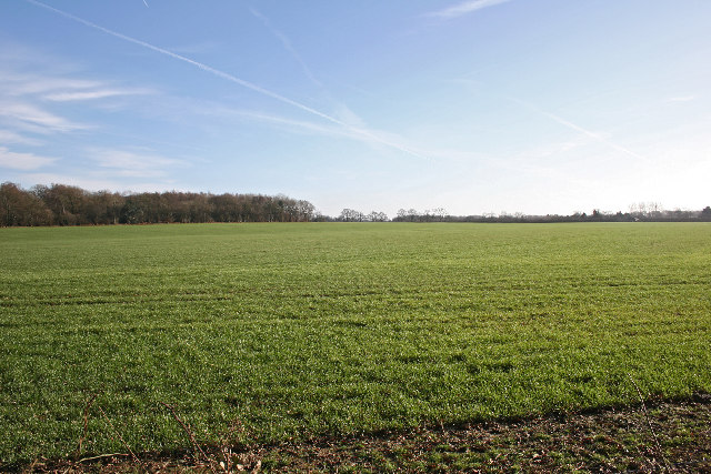 Farm land near Punsholt Farm - geograph.org.uk - 109052 - Flipping Houses 101