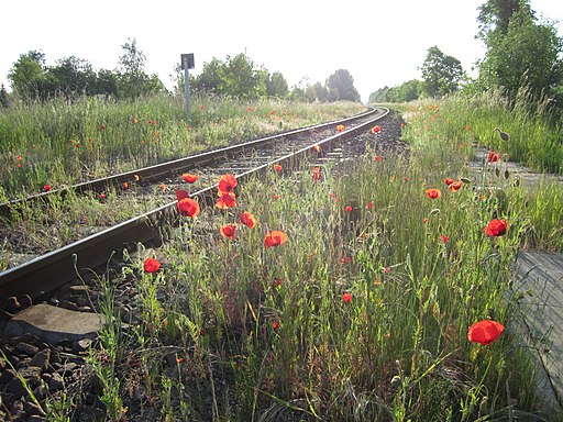 20120527 xl wiki 3730