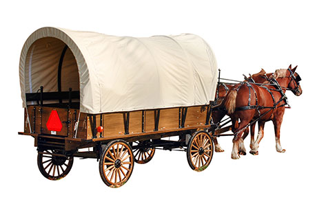 Parade & Trail Wagons
