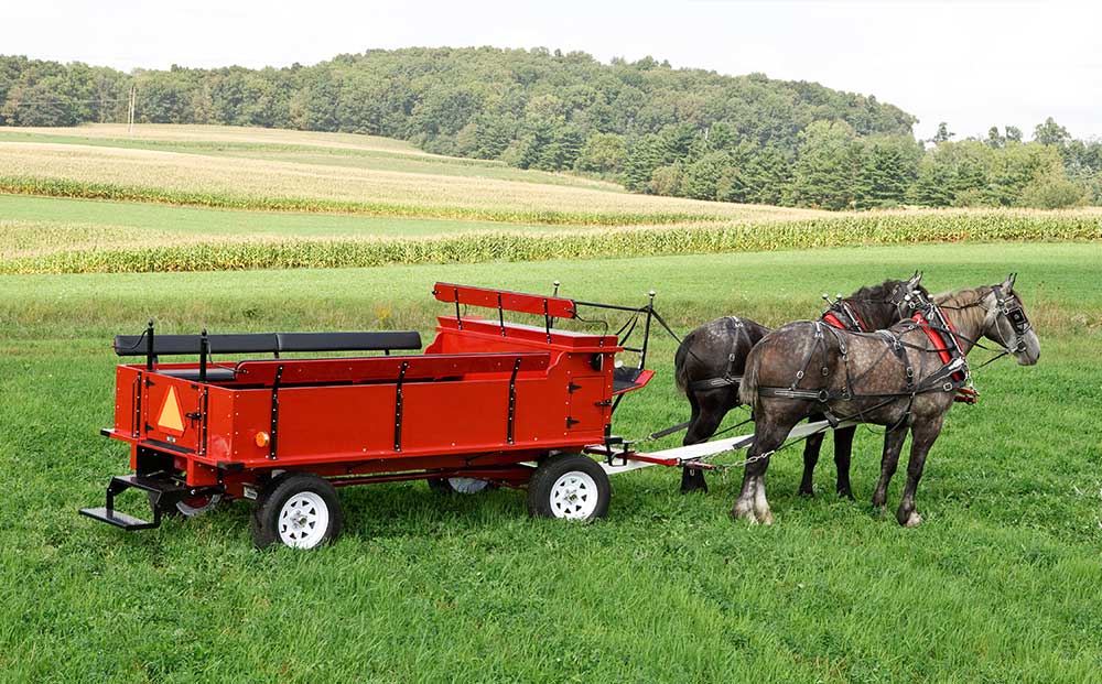 Draft Horse Wagon