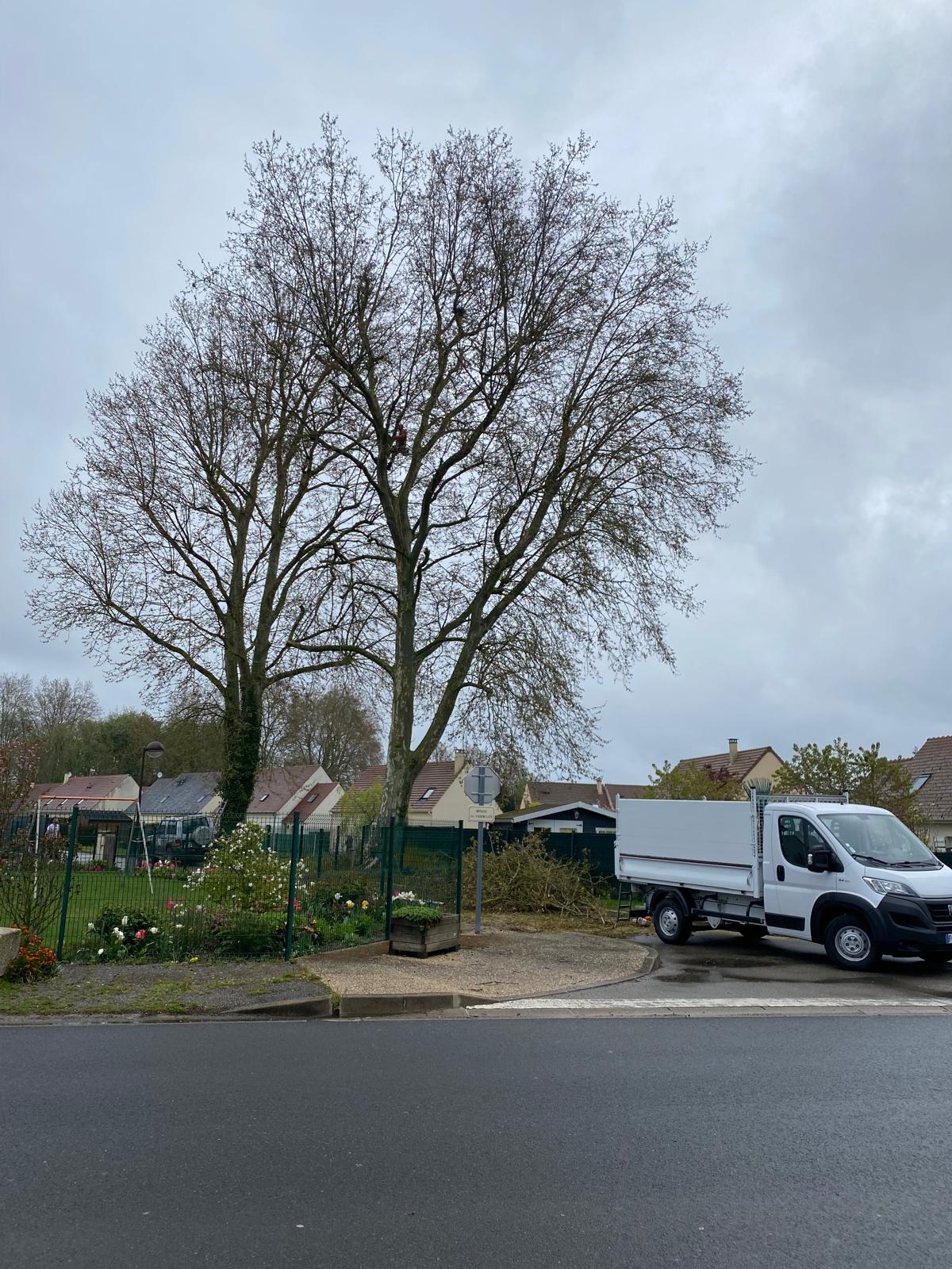 image of a school campus (for a edtech) [background image]