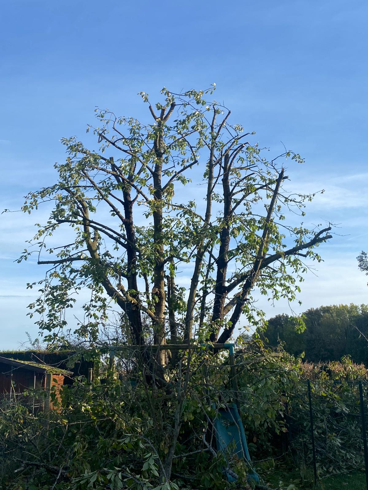 image of roofing equipment