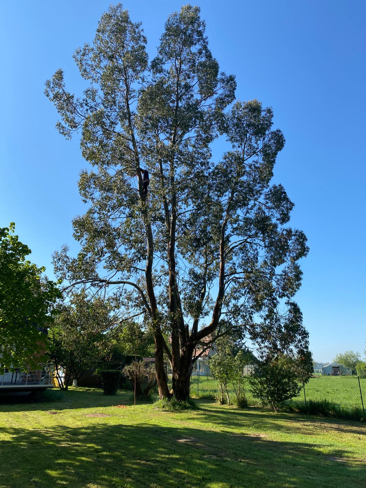 image of a cooking demonstration