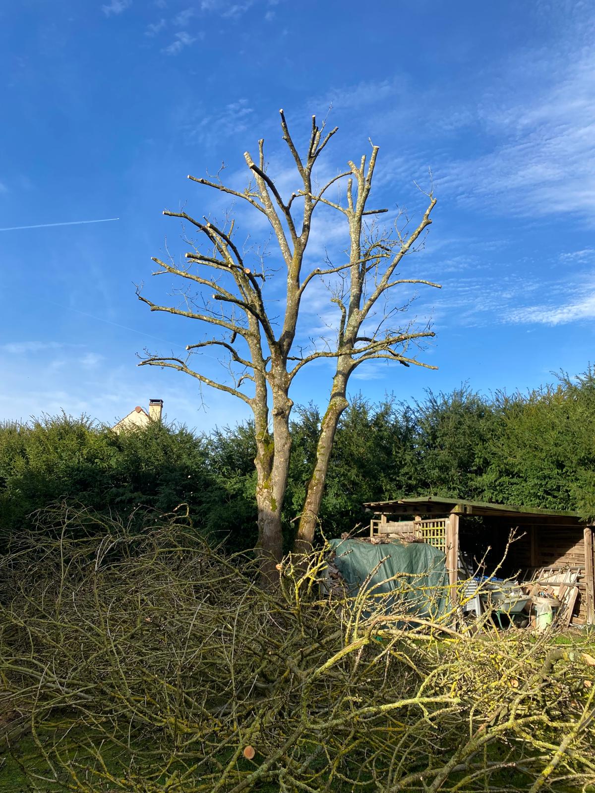 image of special promotions (sticker design) (for an ecommerce)