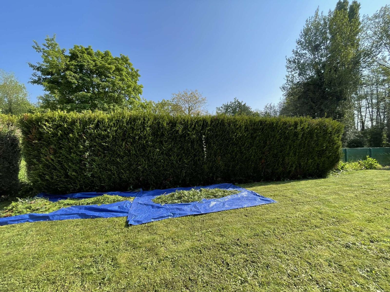 [background image] image of a scenic view of a park (for a veterinary clinic)