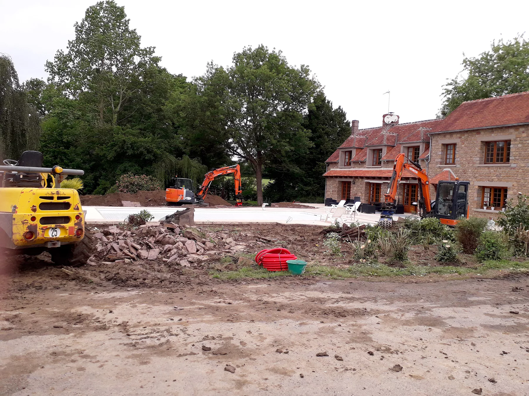 image of reforestation project