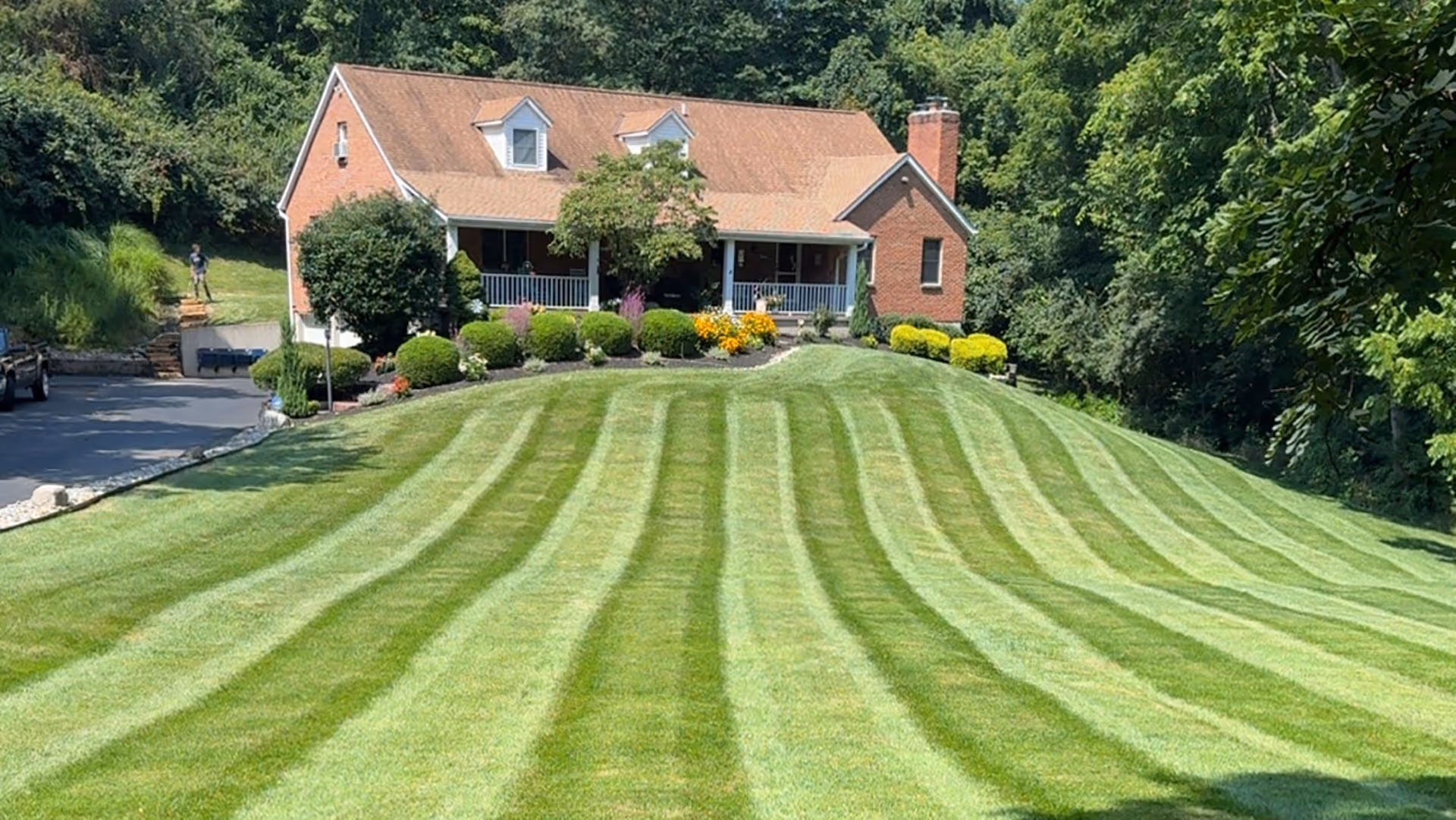 Professional striping effect on residential turf after weekly mowing