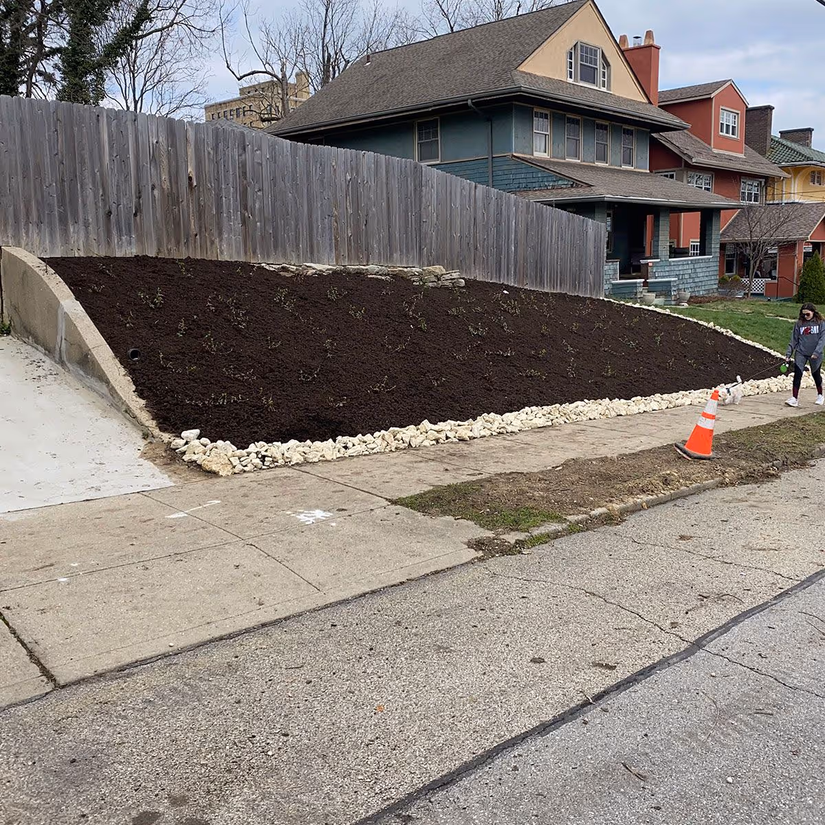 Premium cedar mulch adding rich color and moisture retention to landscape beds