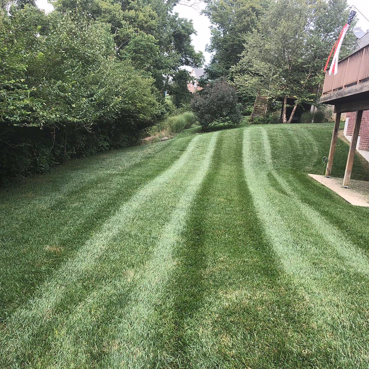 Freshly mowed lawn with crisp stripes by Triscapes near me