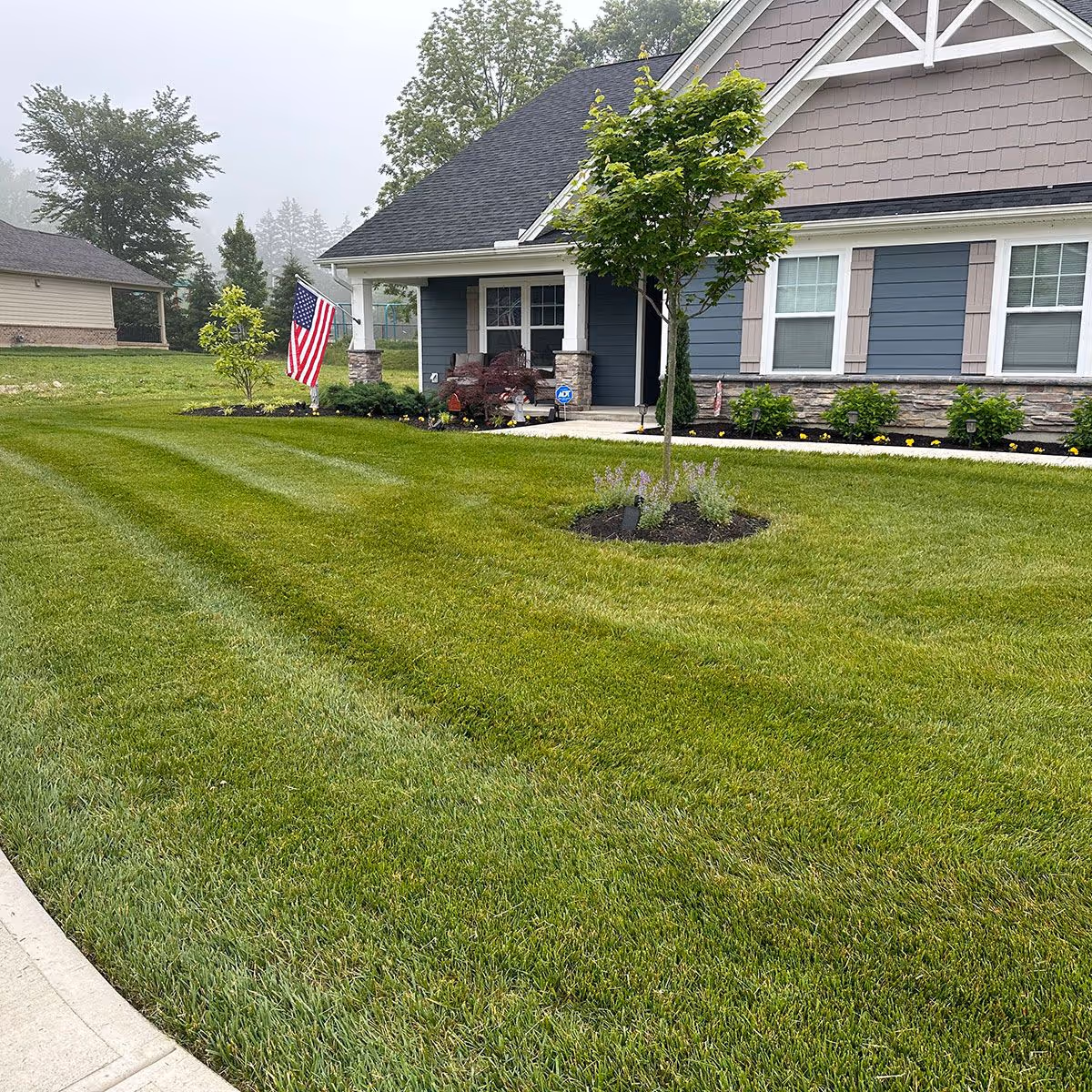 Professional lawn cutting showcasing lush green turf by Triscapes