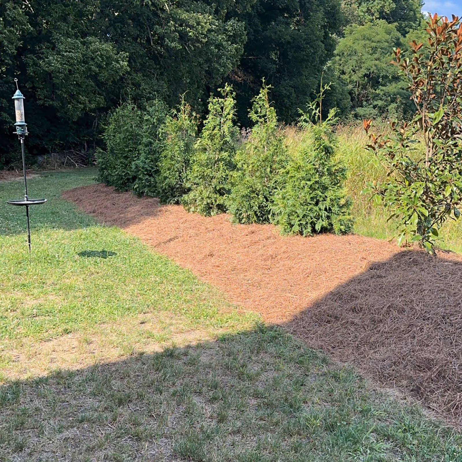Shrub trimming and weed control maintenance by Triscapes