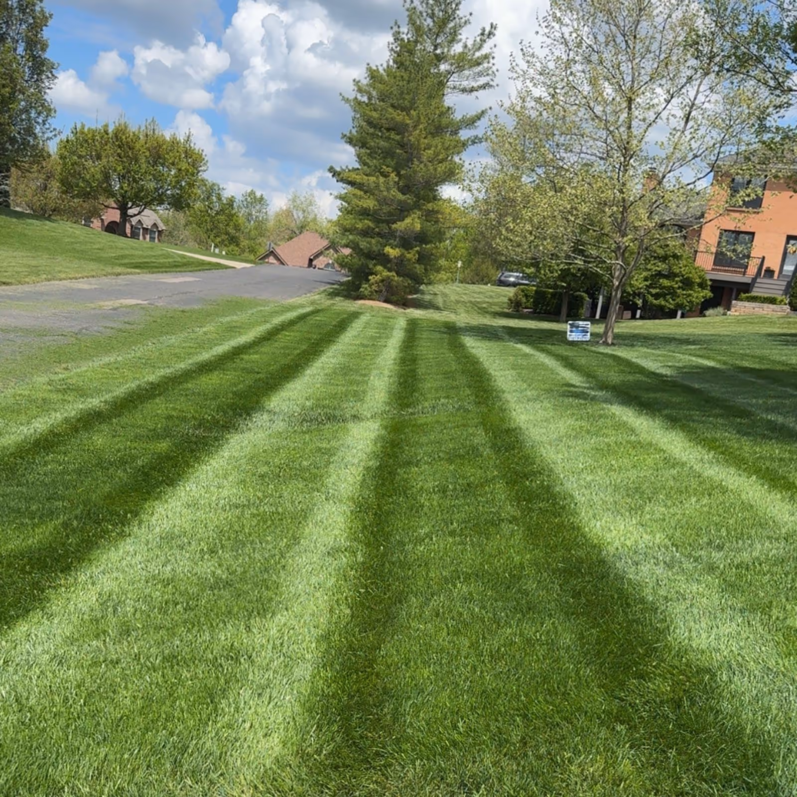 Close up of sharp lawn mower blades cutting lush grass evenly Triscapes