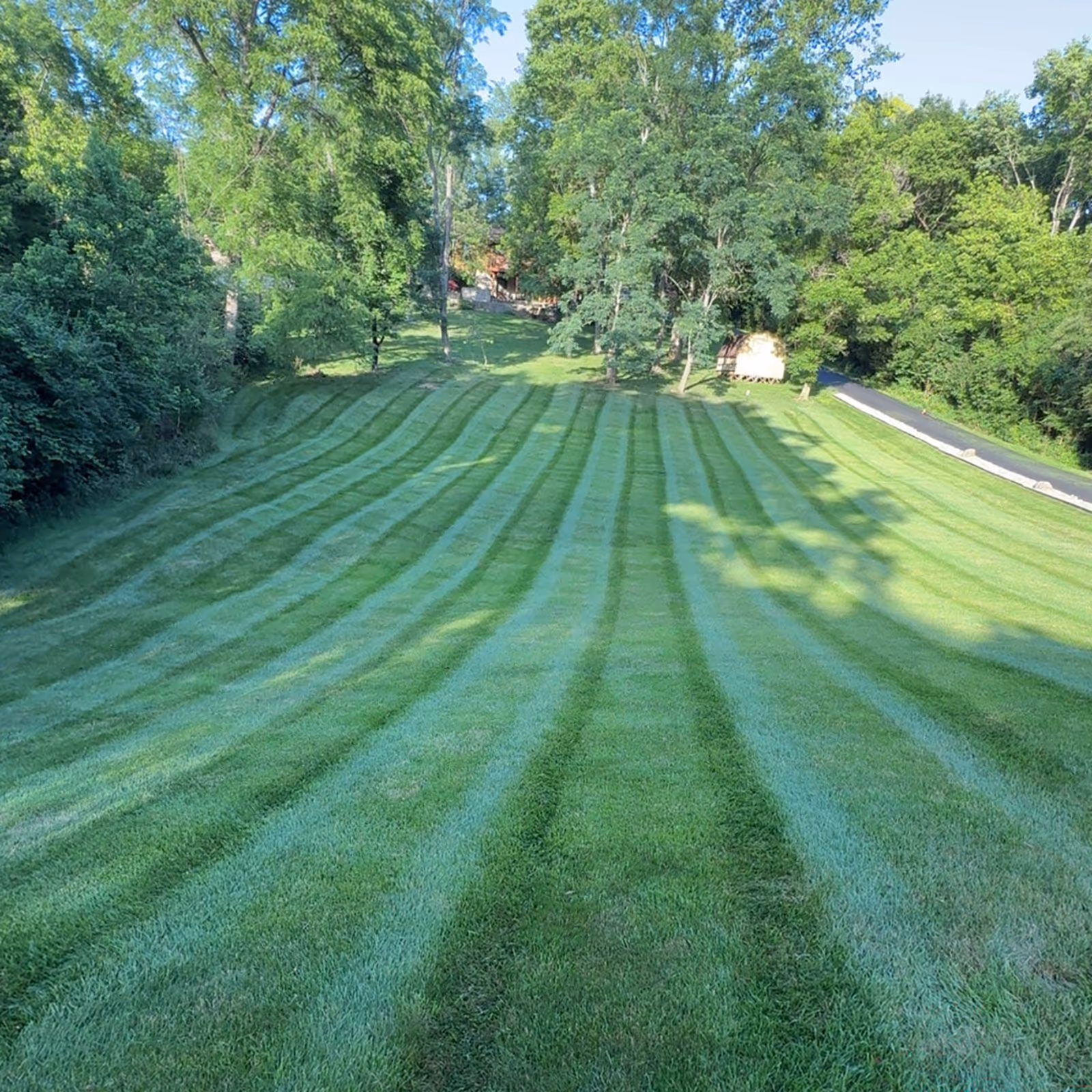 Residential estate lawn freshly mowed with crisp edging by Triscapes team