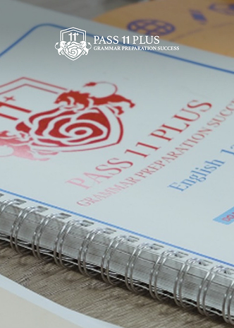 Detailed view of Pass 11 Plus study book, supported by our SEO for educational institutions.