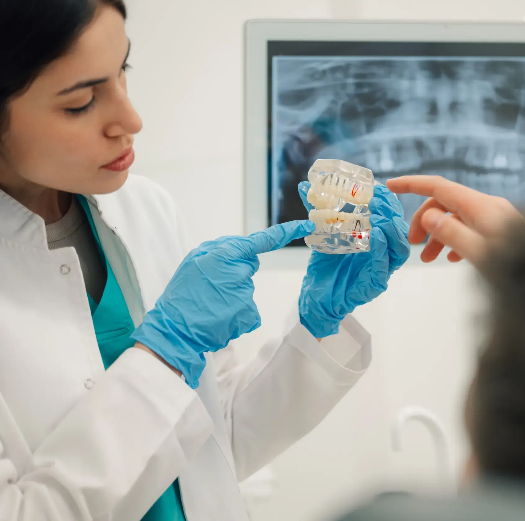 Dentist explaining jaw model to a patient while pointing at teeth with gloved hand.