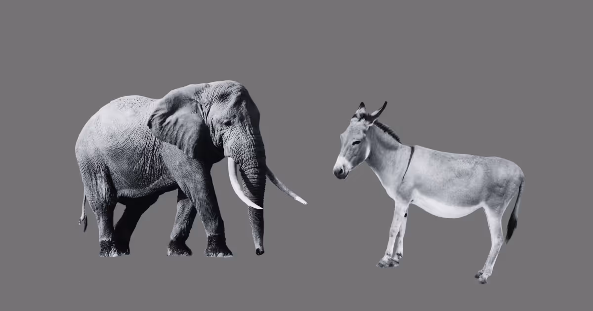 1. background image