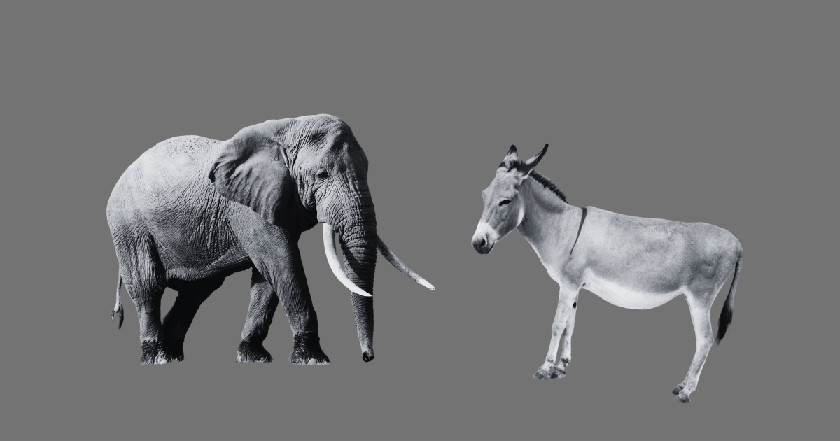 [digital project] image of editing software on a screen (for a music studio)