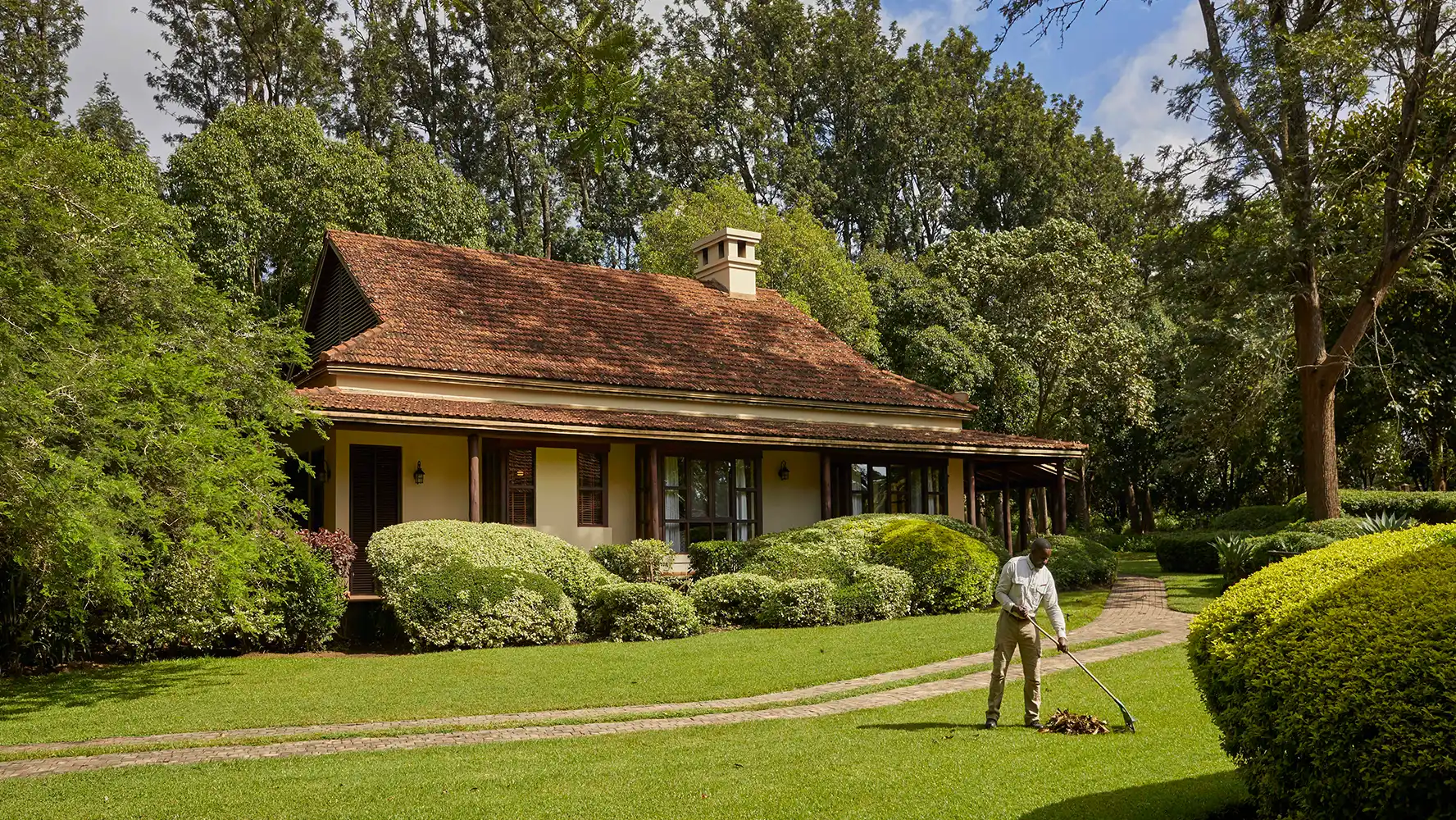 Man raking leaves on the lawn in front of a house surrounded by lush trees and bushes.