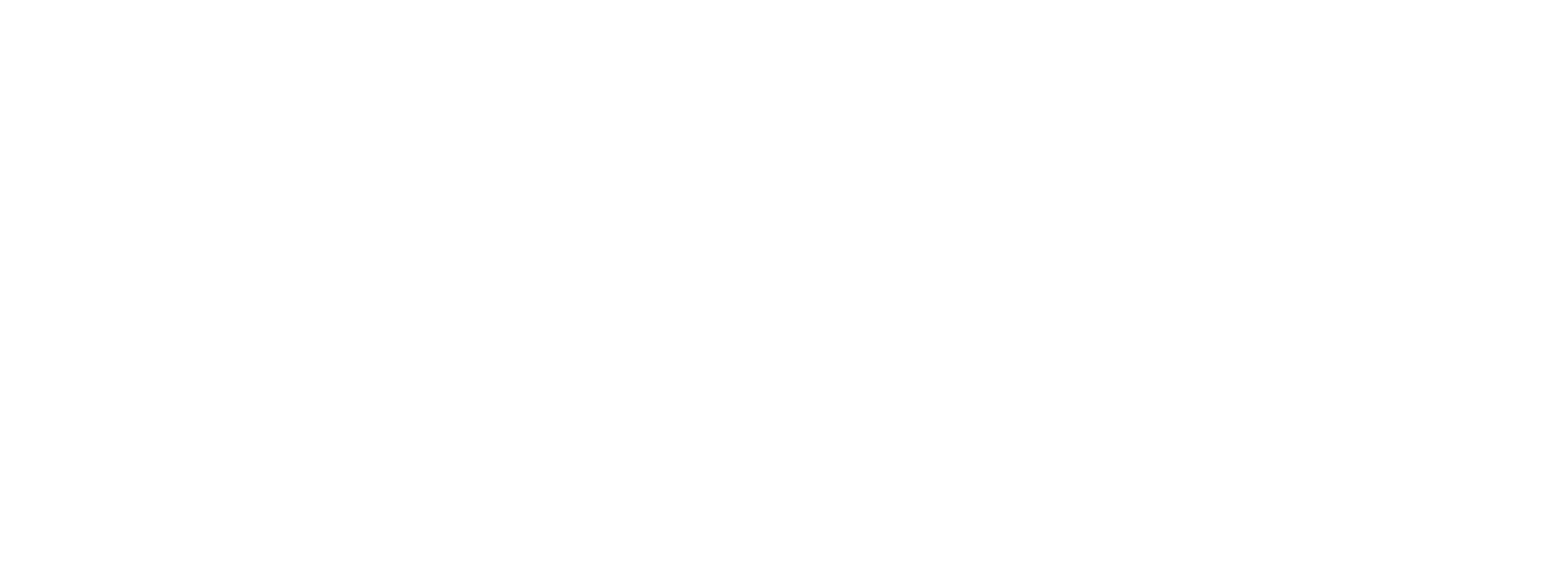 Logo Palladium élégant en lettres noires sur fond blanc.