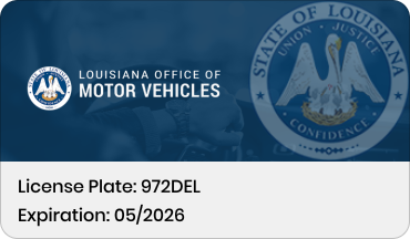 A vehicle registration card which displays the license plate and expiration