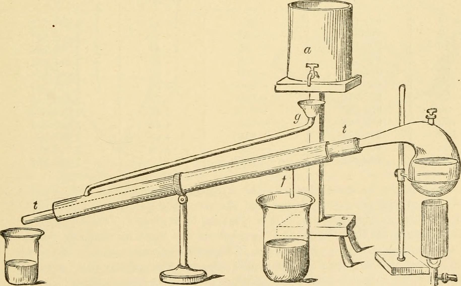 Distillation Powers Efficient AI Models