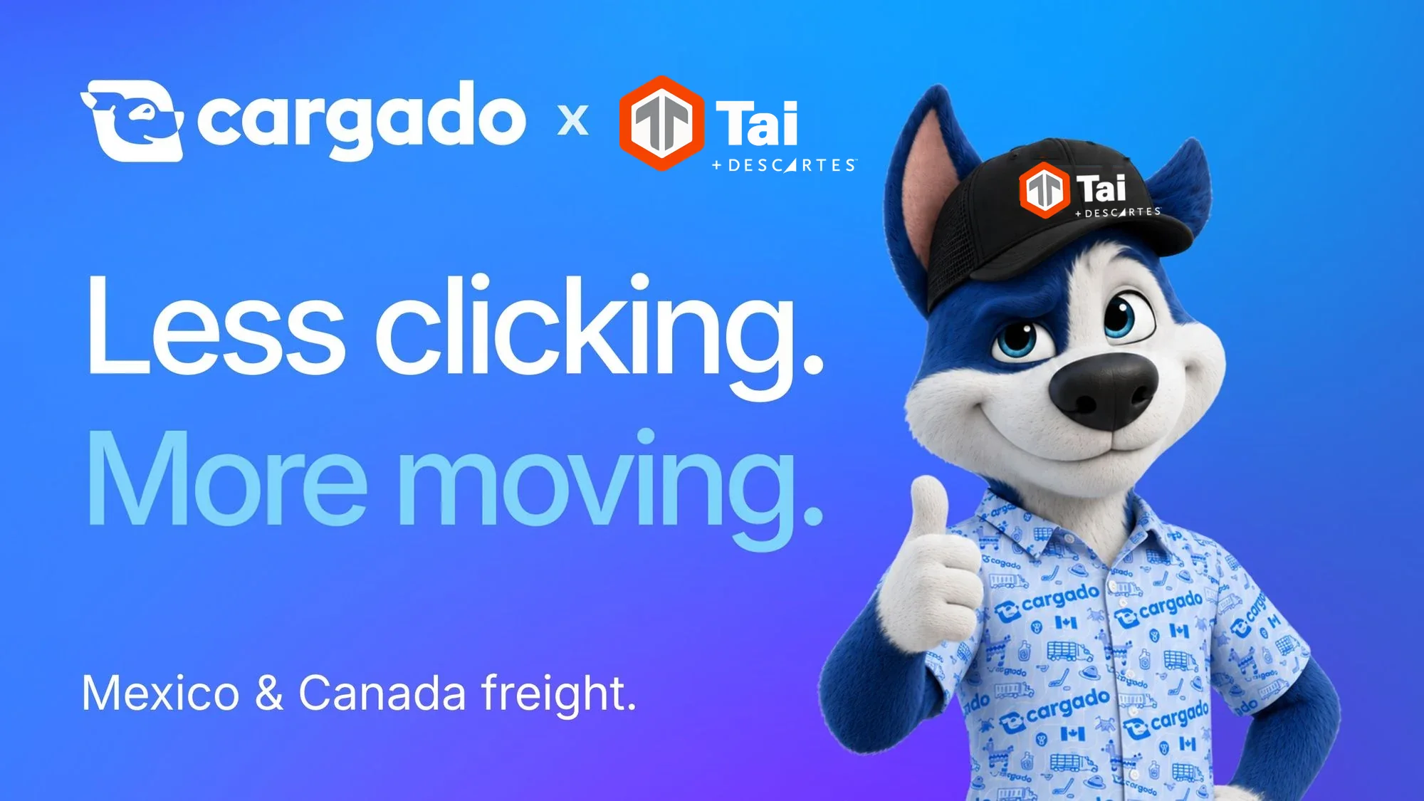 Cargado and Tai: Less clicking. More moving. Meatball, the Cargado dog, wearing a Tai cap