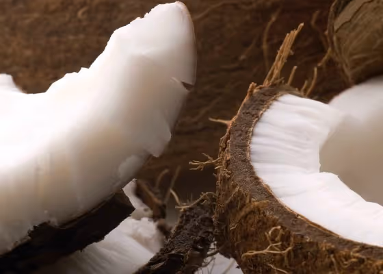 close up of coconuts
