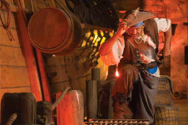 a person wearing a costume