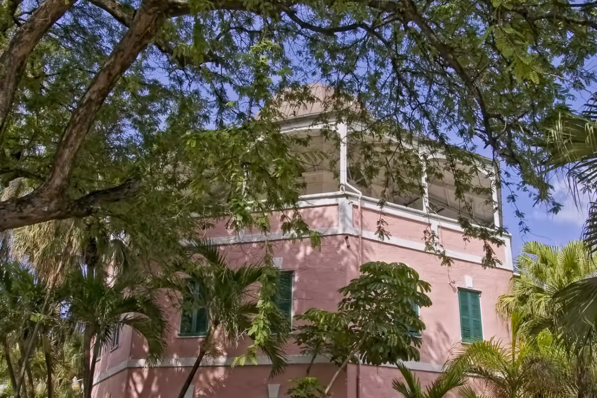 a tree in front of a building