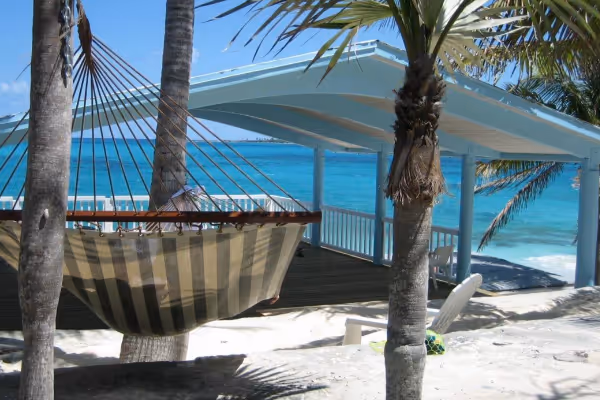 a pool next to a palm tree