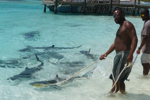 a man holding a fish in the water