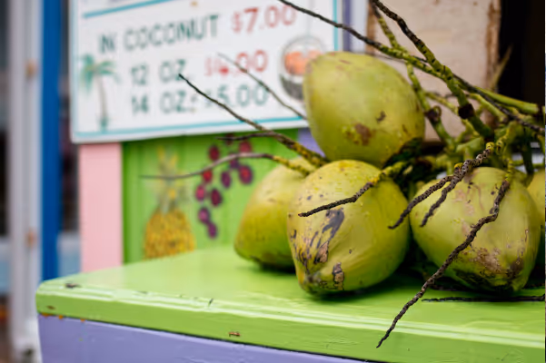 coconuts on a table