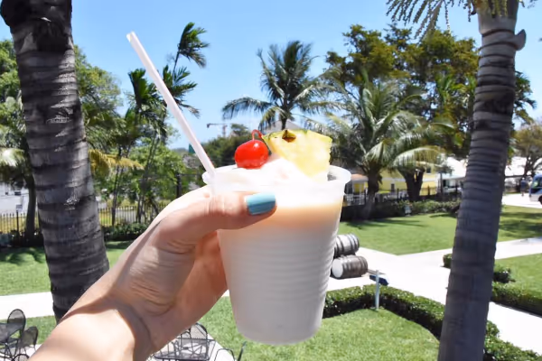 a person standing next to a palm tree