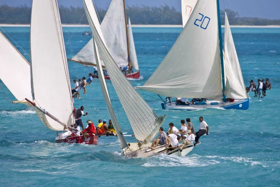 sailboat regatta