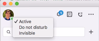 screenshot of David Hemmat setting skype status to online