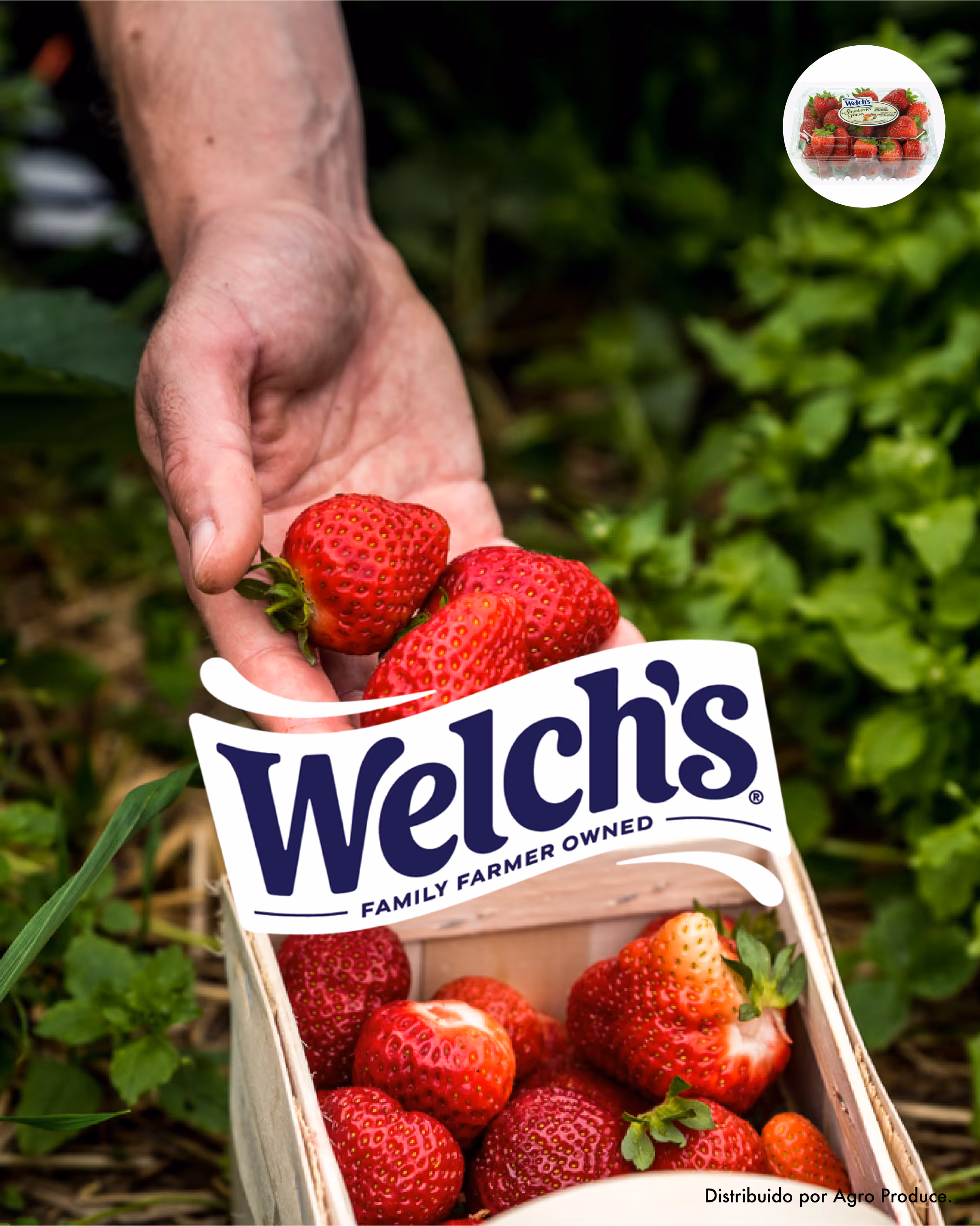 Welch's