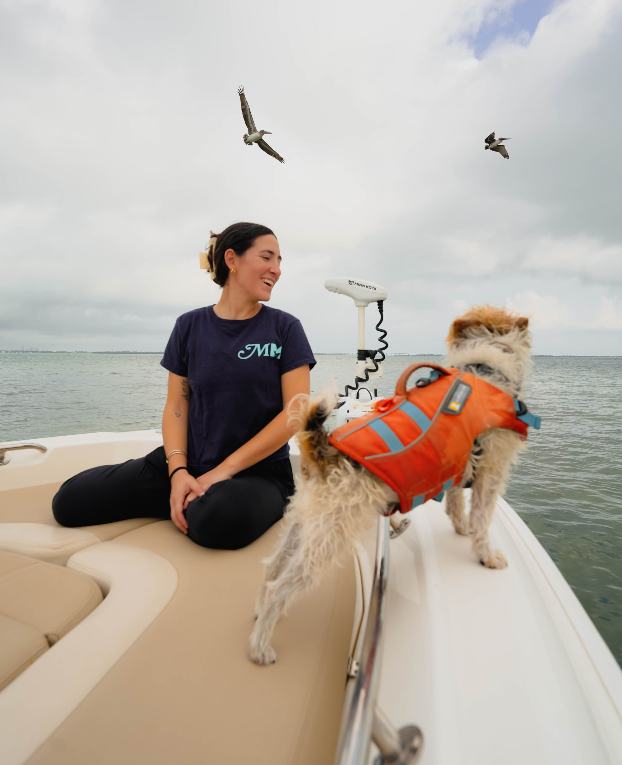image of a pet training class