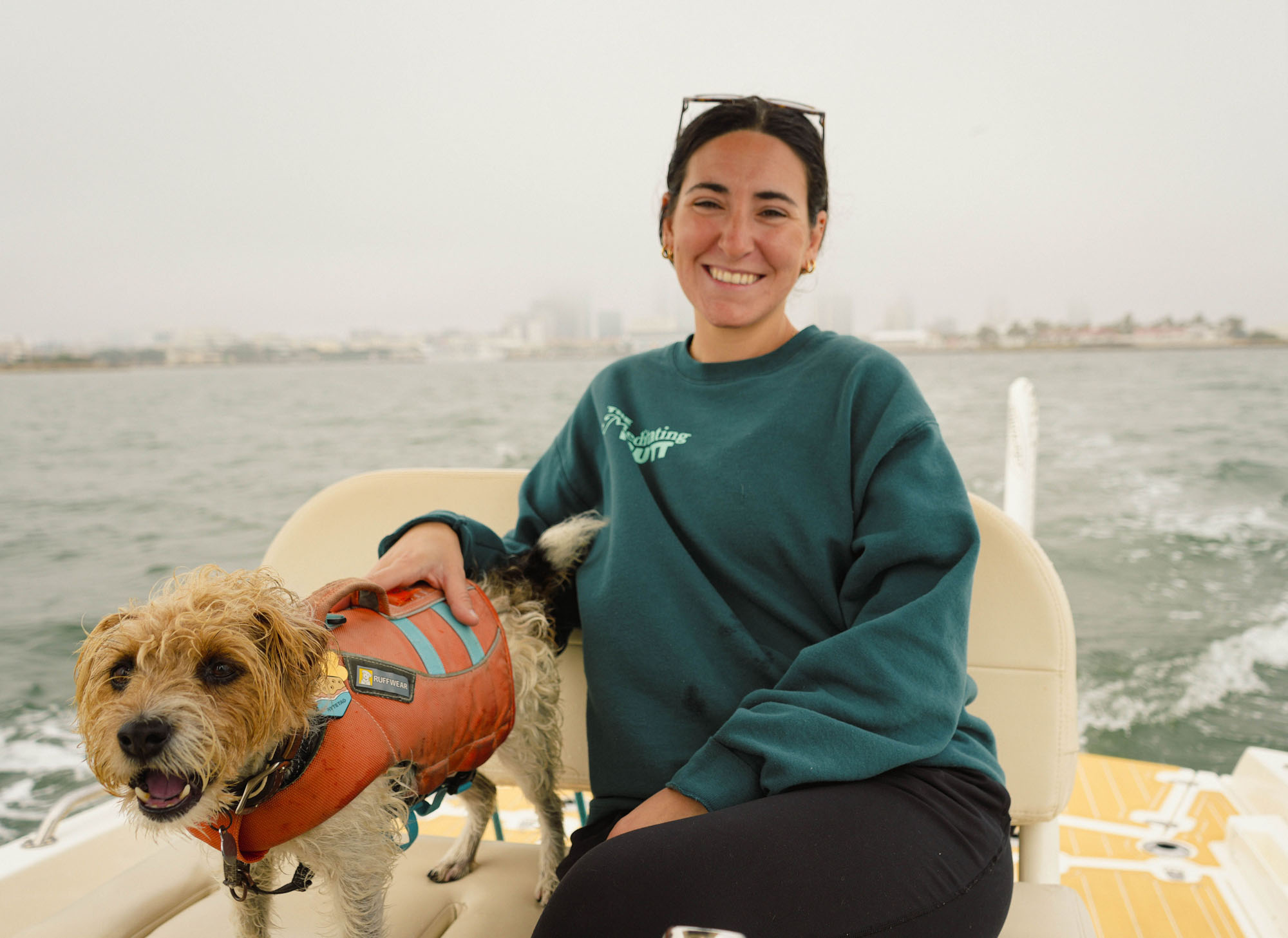 image of a pet training class