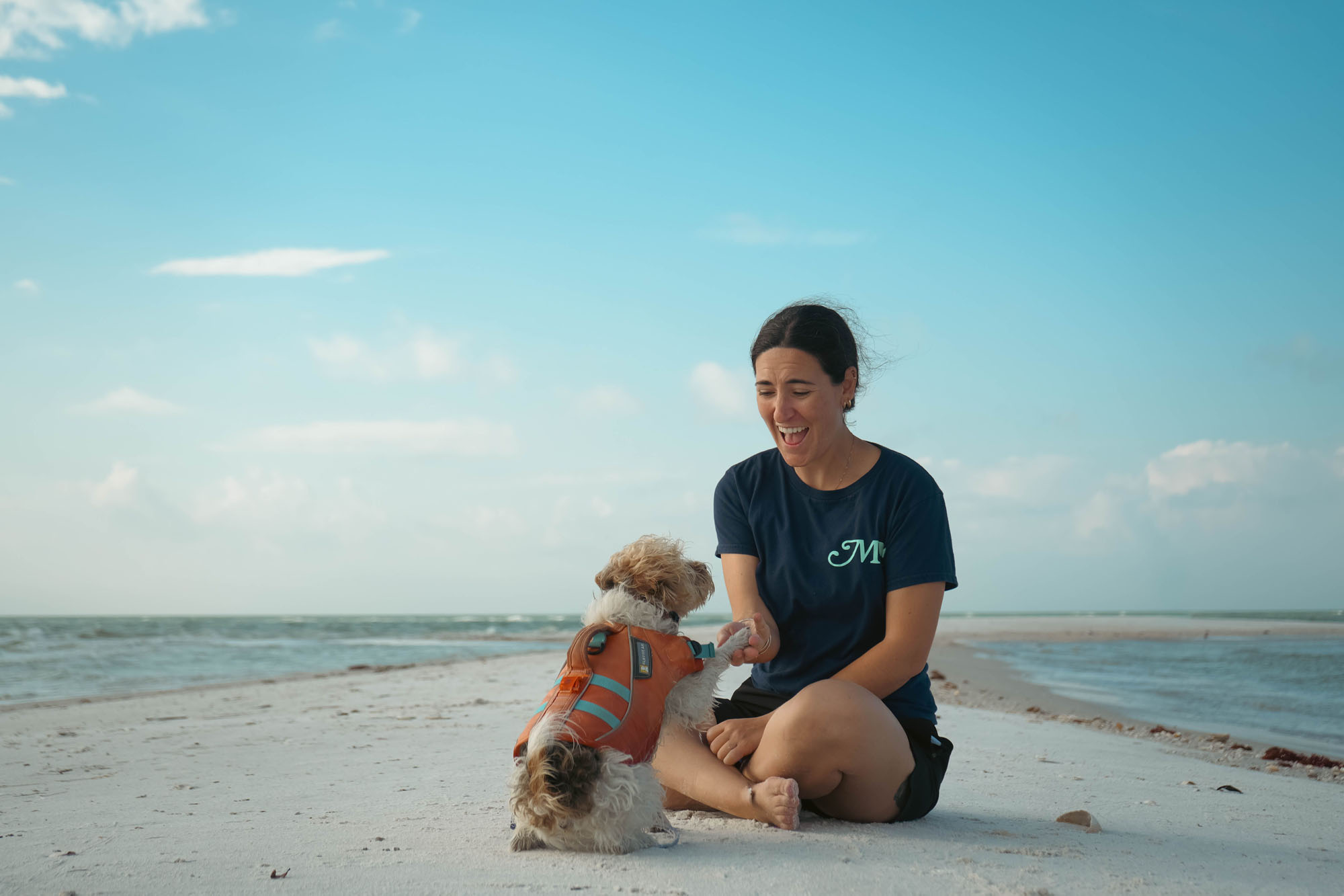 image of animal training sessions