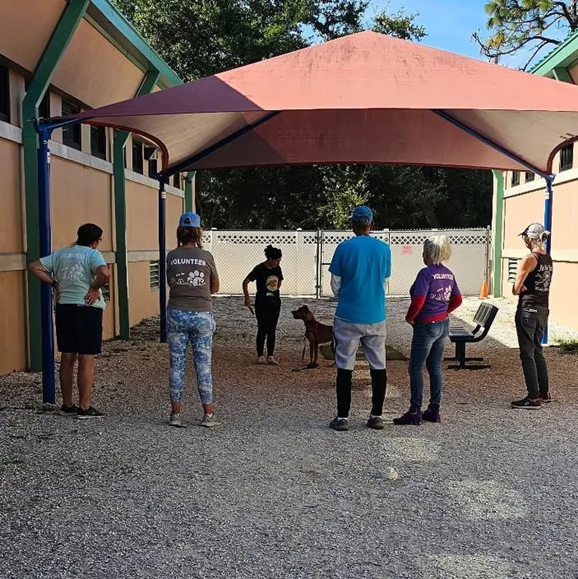 image of animal training sessions