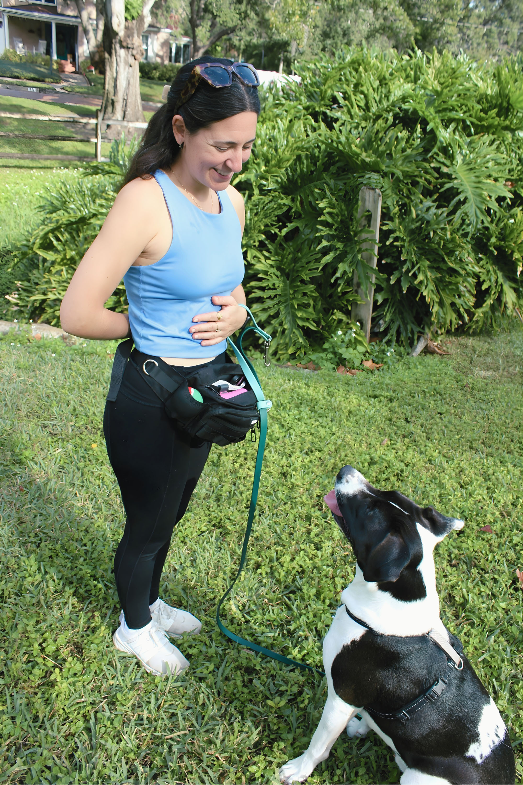 image of a pet training class