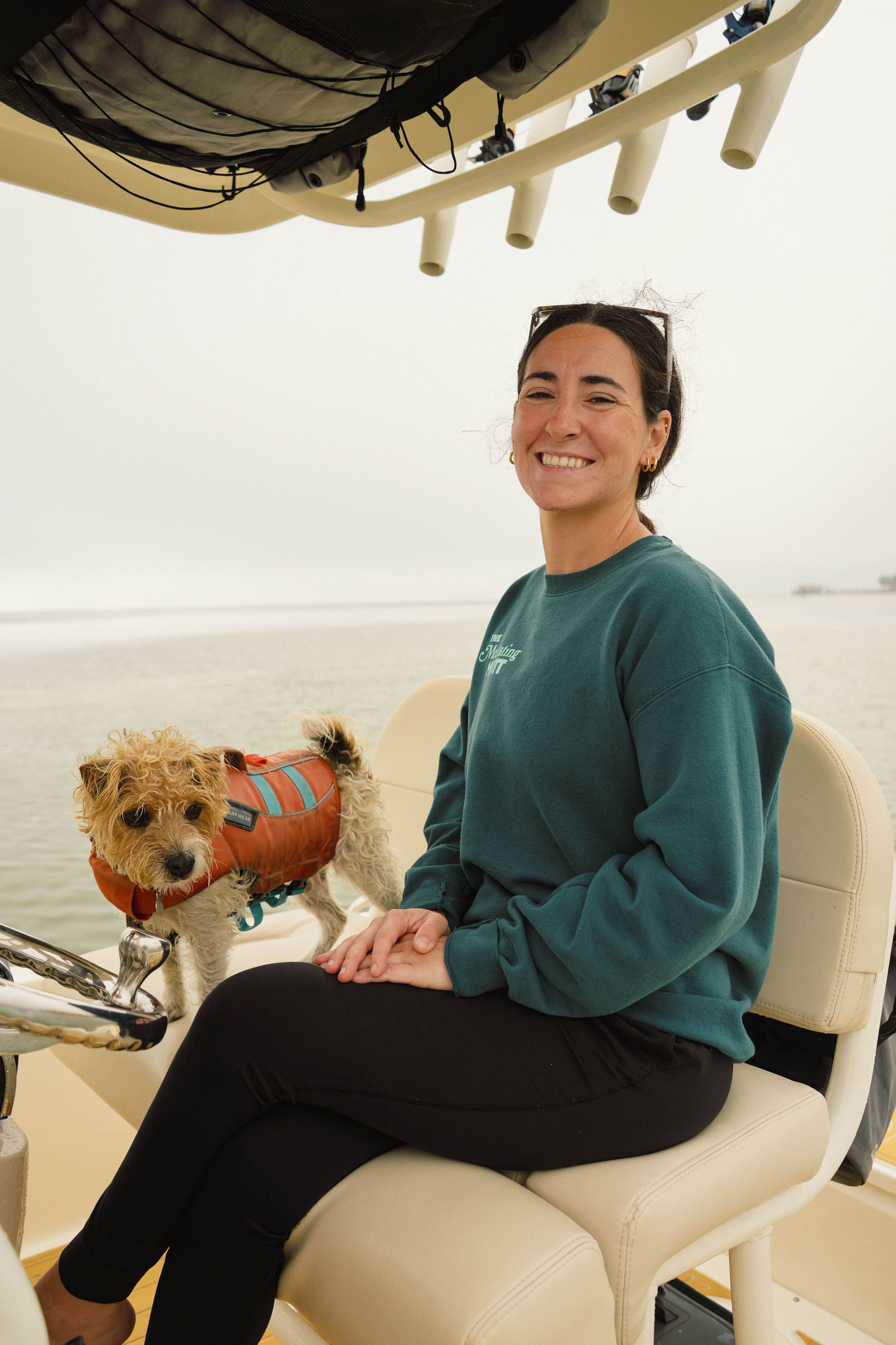 image of a pet training class