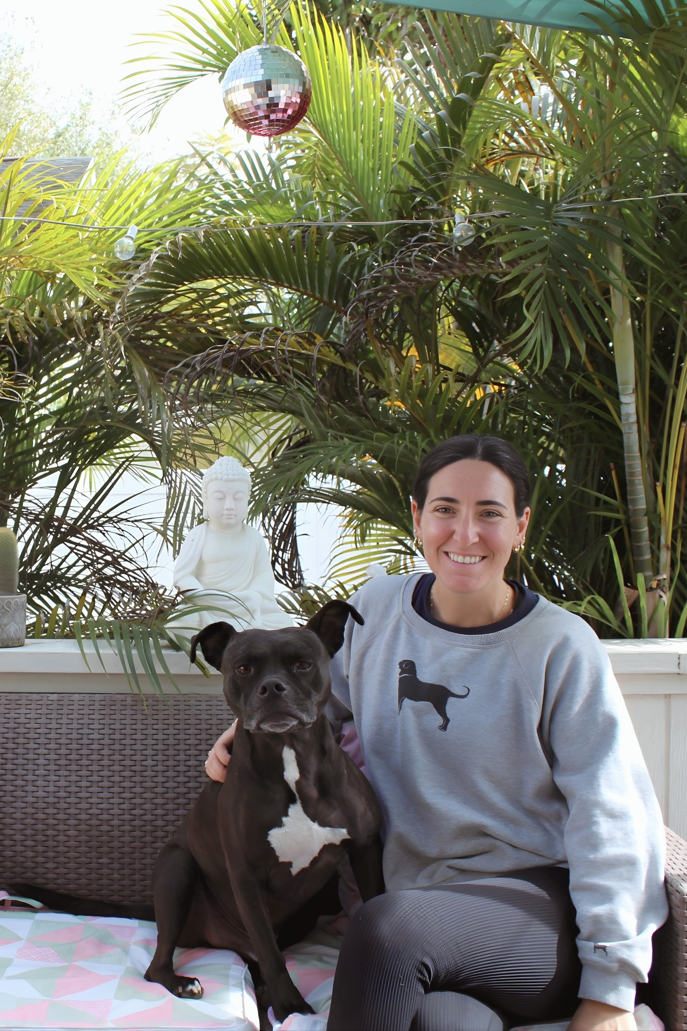 image of animal adoption events