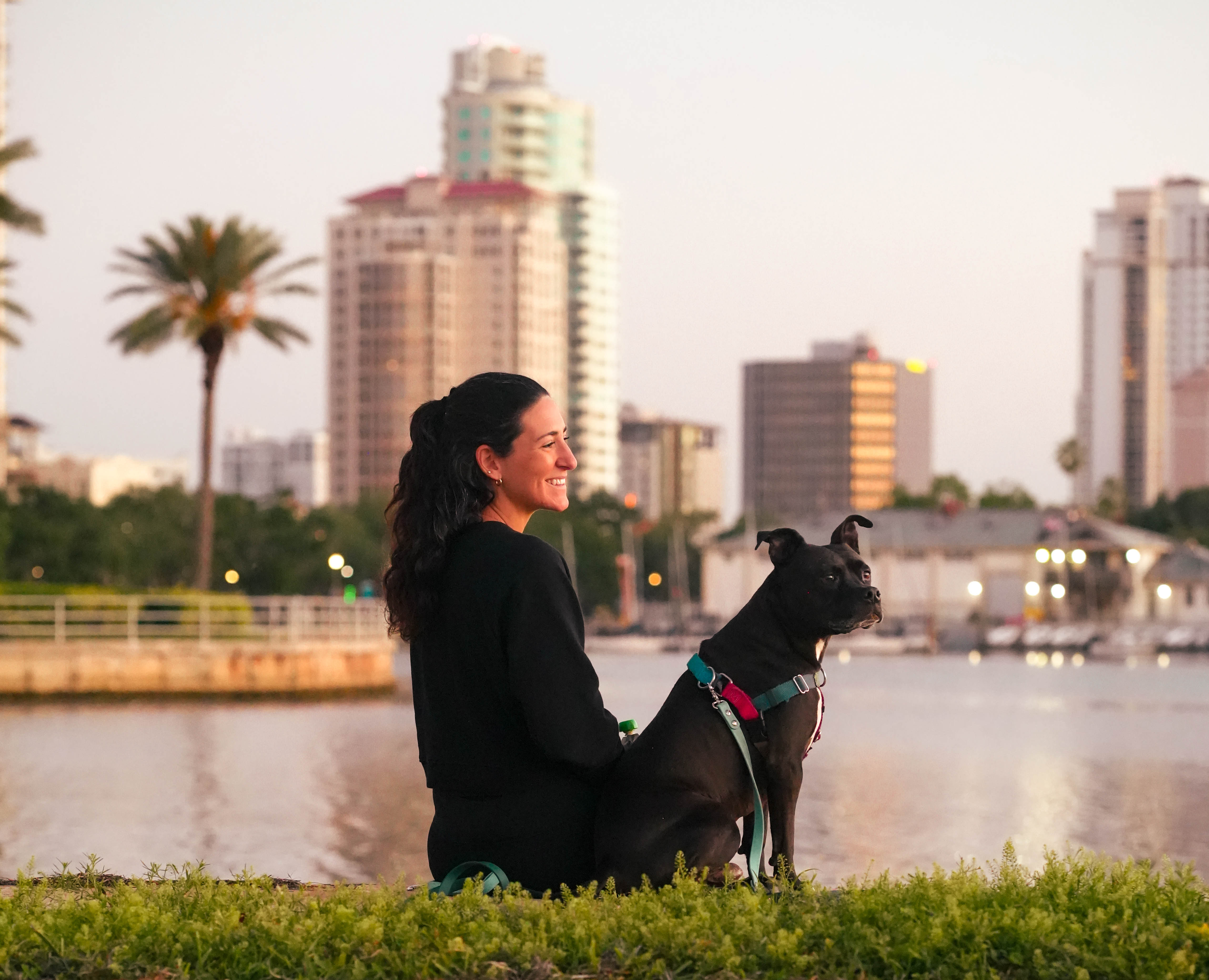 image of a pet training class