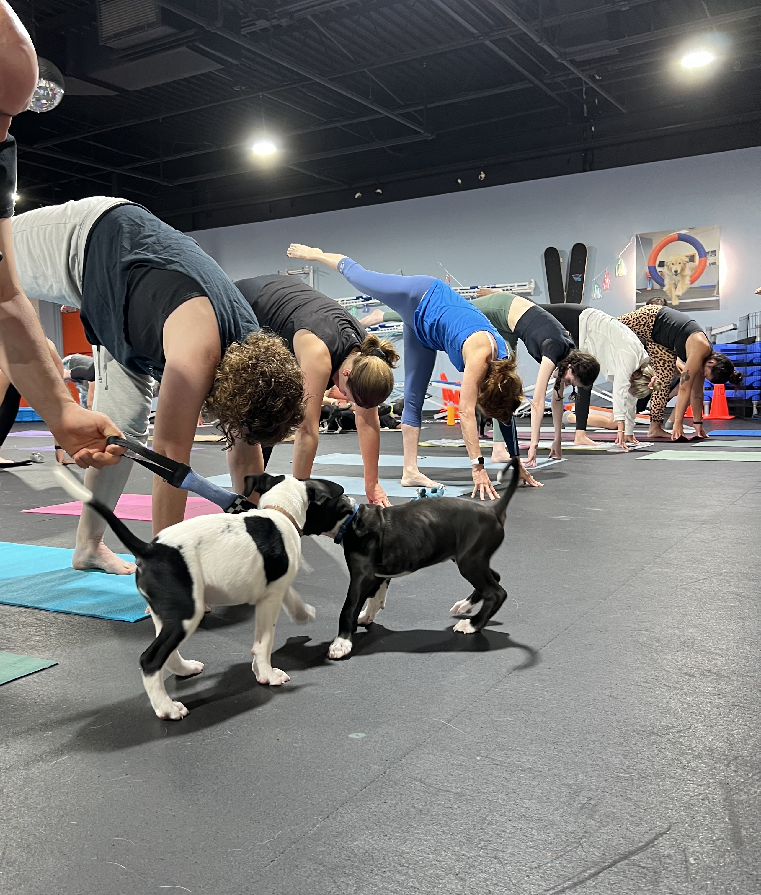 image of outdoor activities showcasing athletic shoes