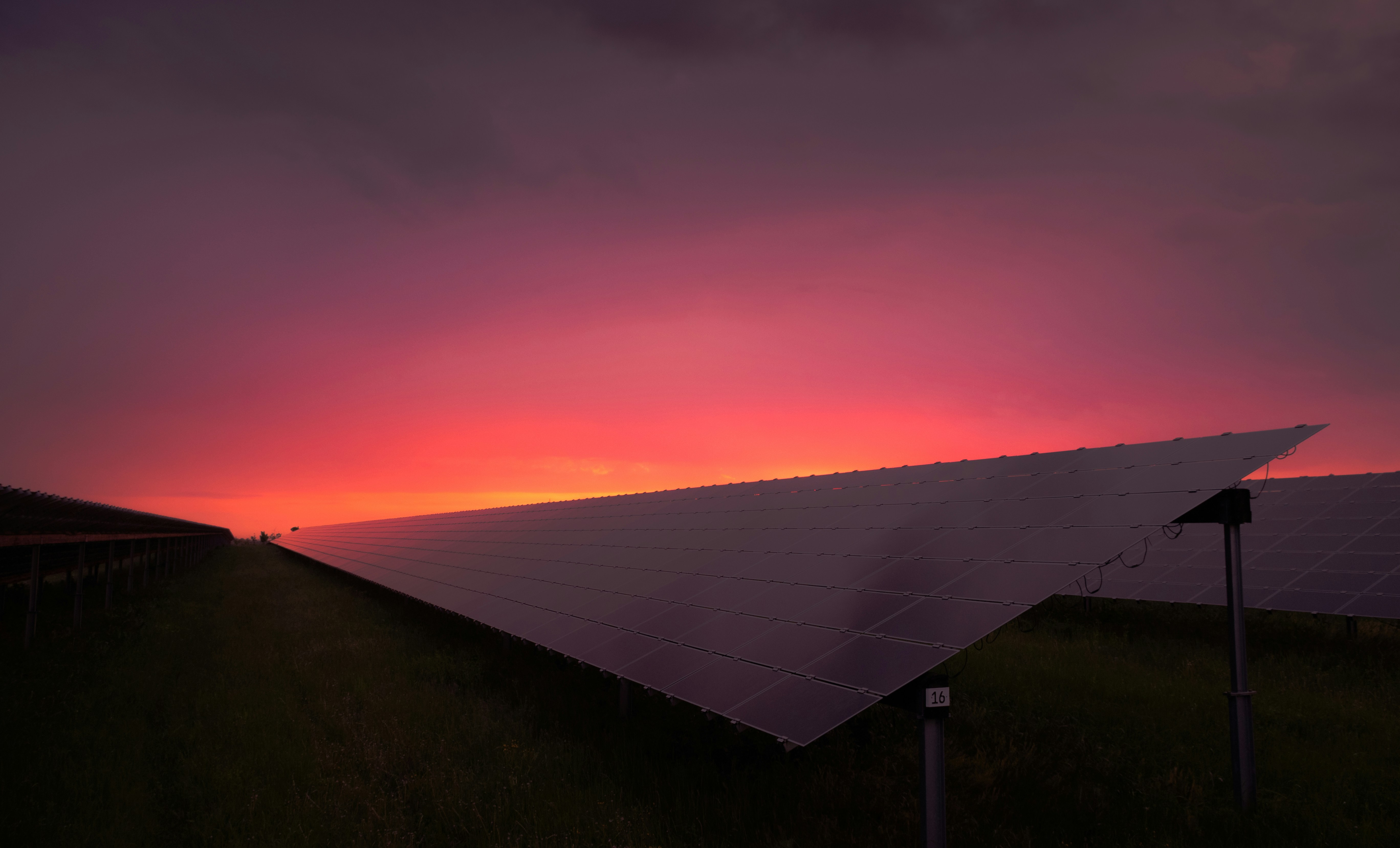 Rows of solar panels extending toward a vibrant sunset with pink and orange hues.