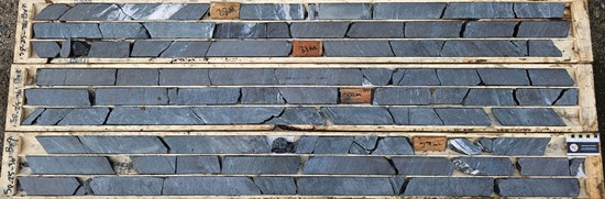 Cannot view this image? Visit: https://images.newsfilecorp.com/files/3657/268692_1292ec5c64105b78_002.jpg